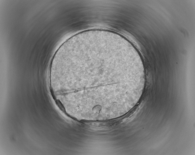 X0000111361391200908211246