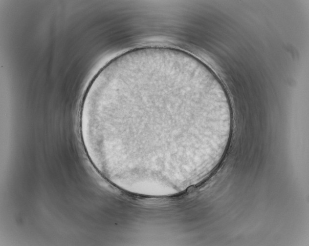 X0000111361392200908211246