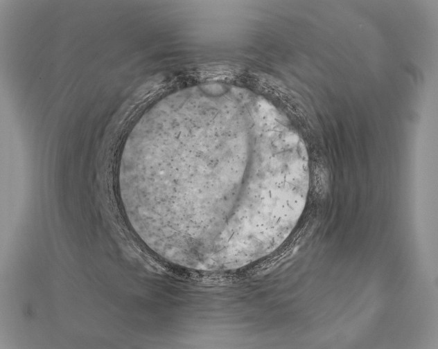 X0000111361393200908211246