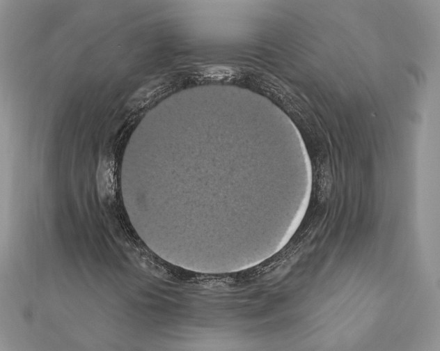 X0000111361394200908211246