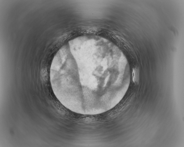 X0000111361395200908211246