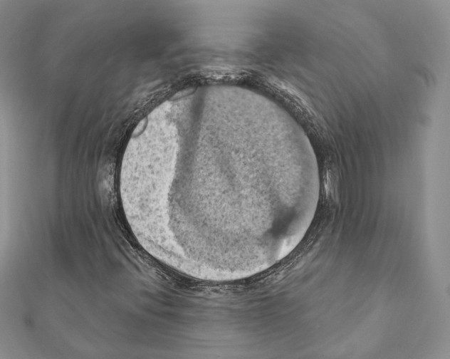 X0000111361396200908211246