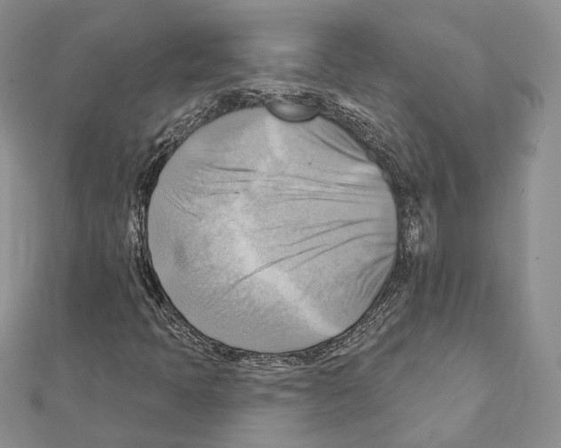 X0000111361397200908211246