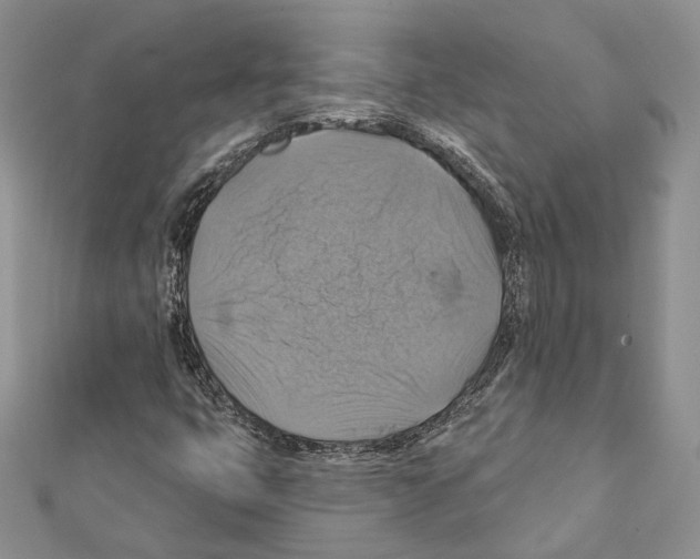 X0000111361399200908211246