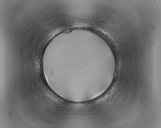 X0000111361401200908211246