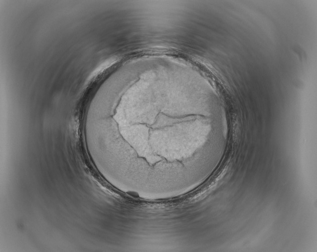 X0000111361402200908211246