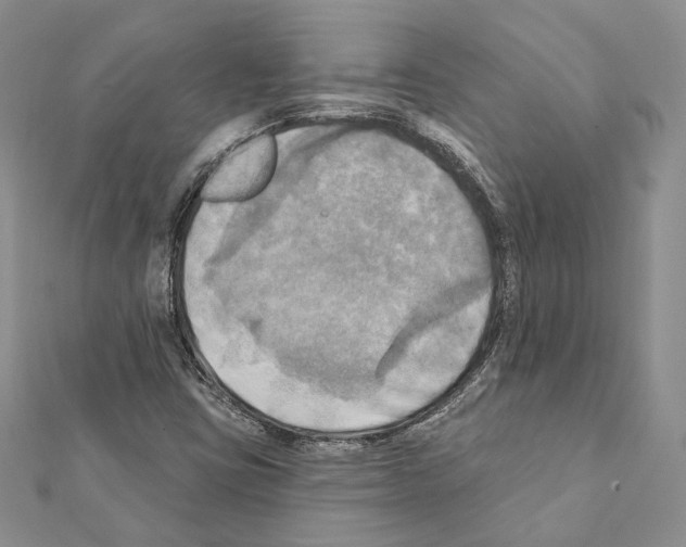 X0000111361403200908211246