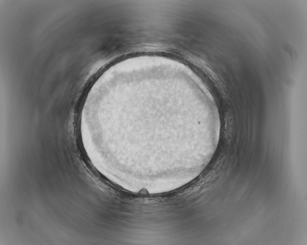 X0000111361404200908211246