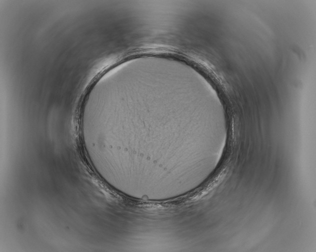 X0000111361405200908211246