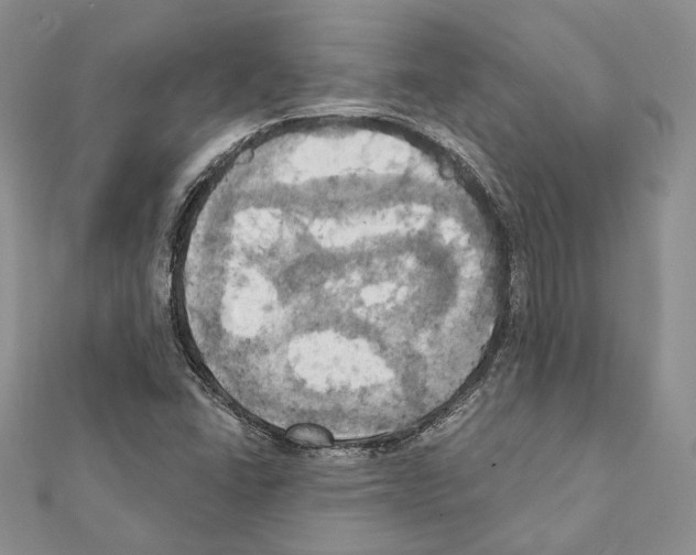 X0000111361406200908211246