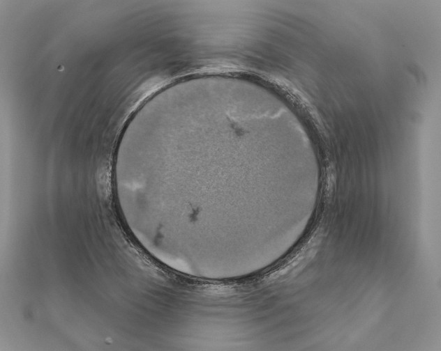 X0000111361409200908211246