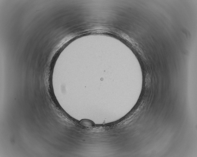 X0000111361410200908211246