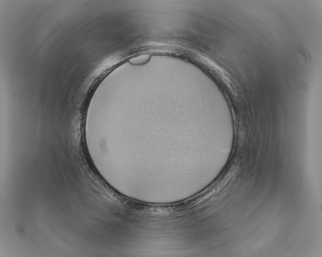 X0000111361411200908211246