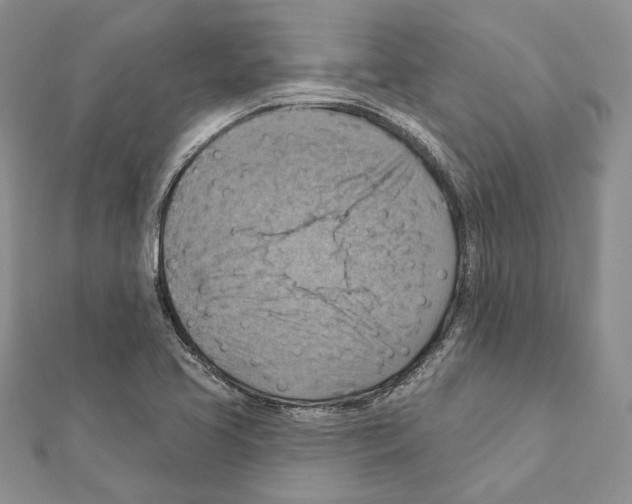 X0000111361413200908211246