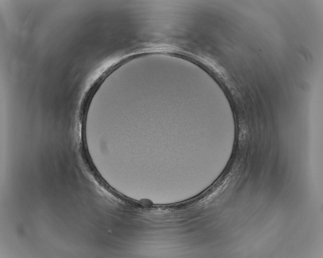 X0000111361414200908211246