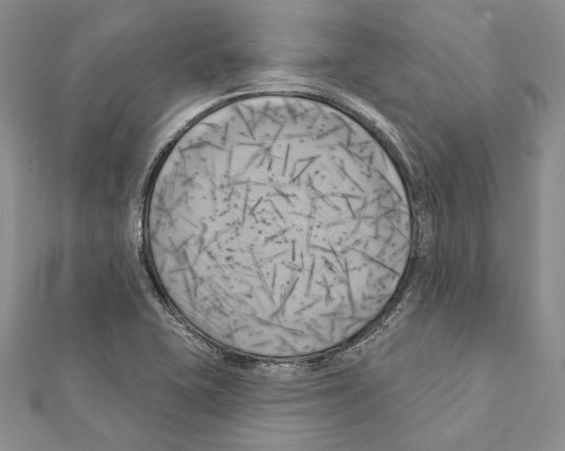 X0000111361415200908211246