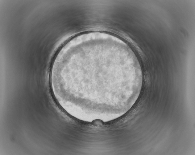 X0000111361416200908211246