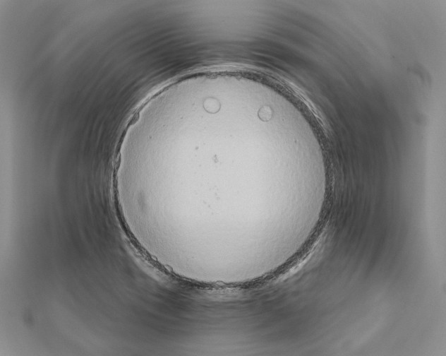 X0000111361417200908211246