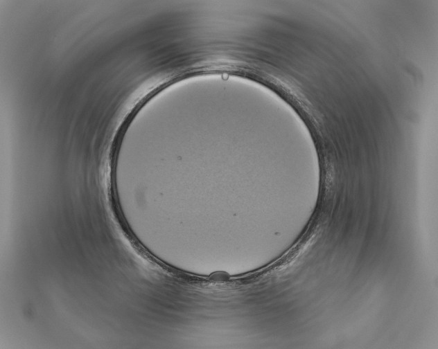 X0000111361418200908211246