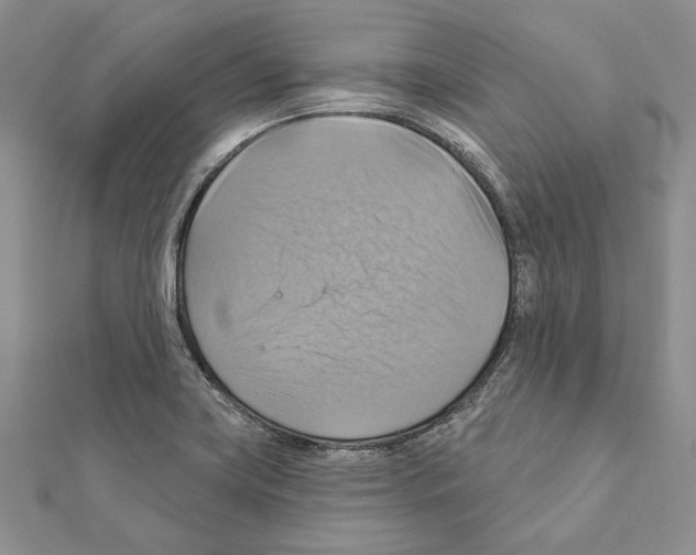 X0000111361419200908211246