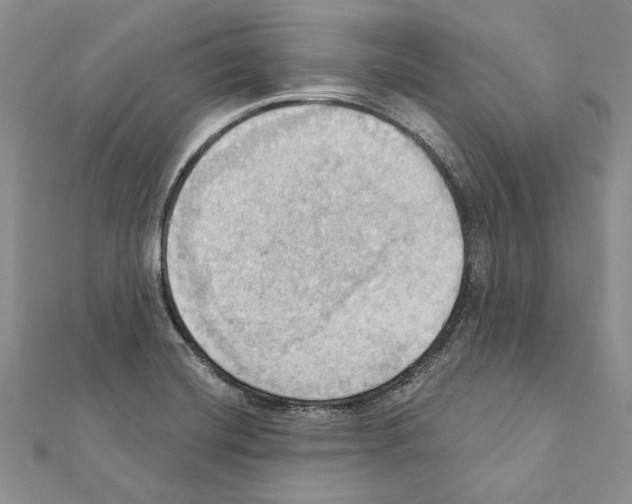 X0000111361420200908211246