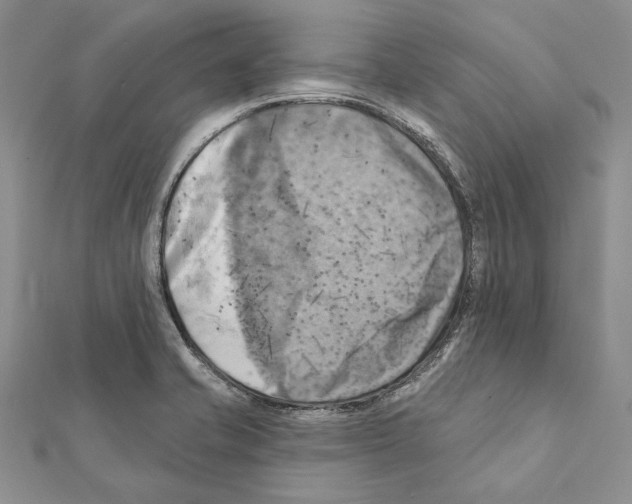 X0000111361421200908211246