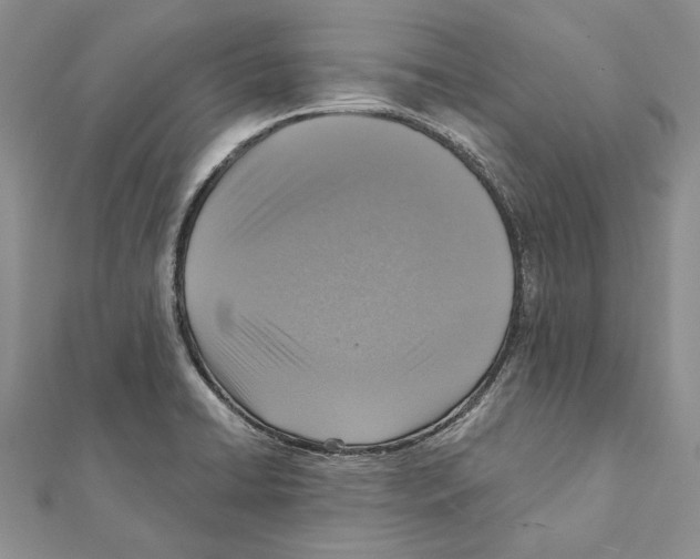 X0000111361422200908211246