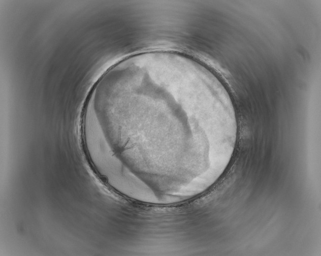 X0000111361423200908211246