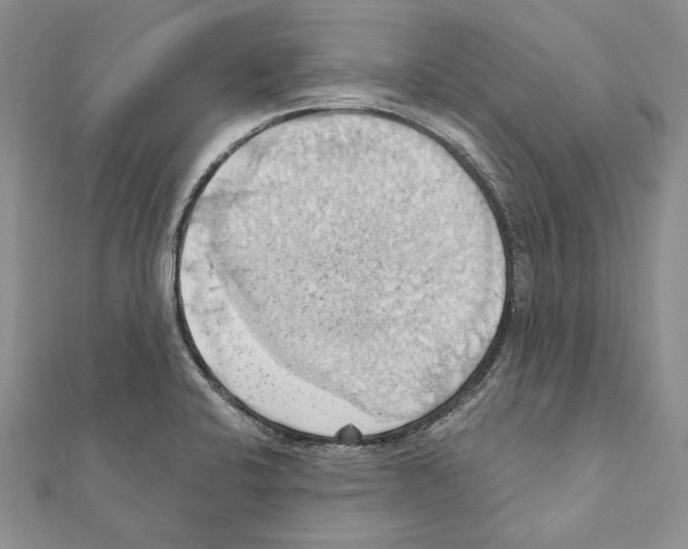 X0000111361424200908211246