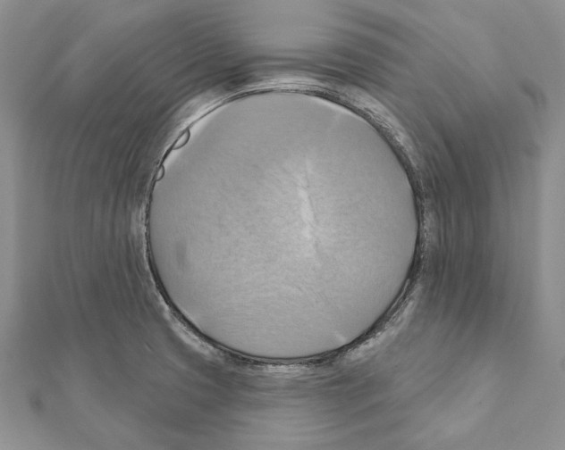 X0000111361425200908211246