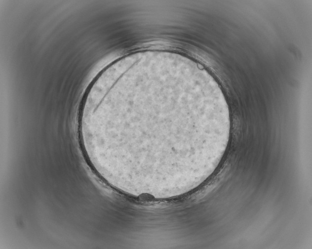 X0000111361426200908211246