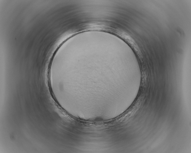 X0000111361427200908211246