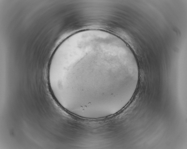 X0000111361428200908211246