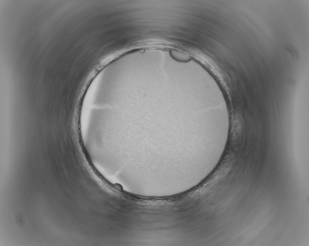 X0000111361429200908211246