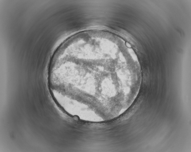 X0000111361430200908211246