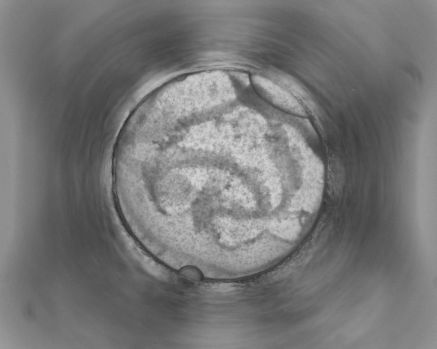 X0000111361431200908211246