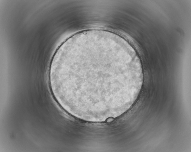 X0000111361432200908211246