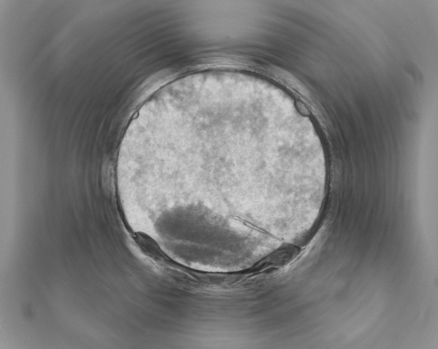 X0000111361433200908211246