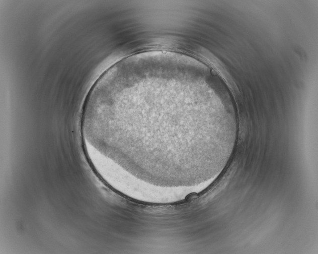 X0000111361434200908211246