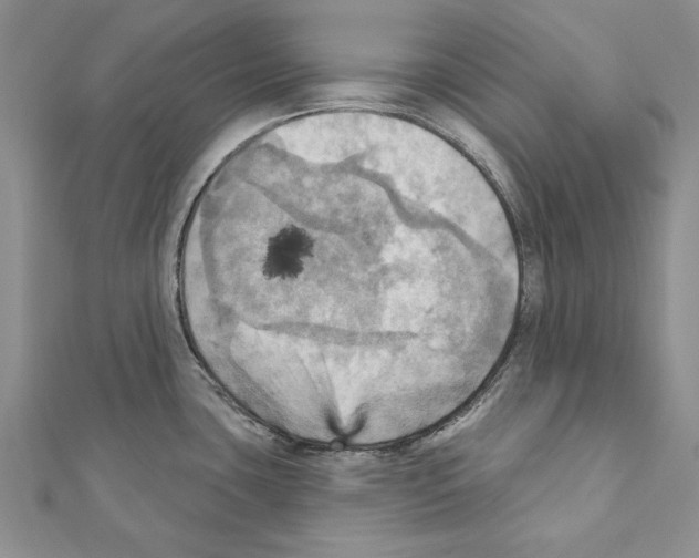 X0000111361435200908211246