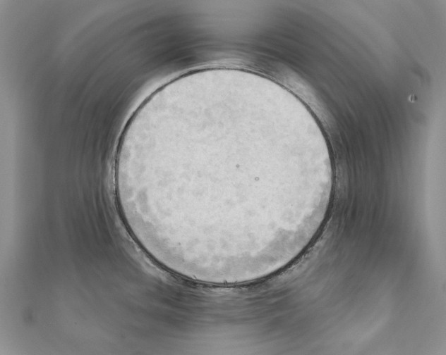 X0000111361436200908211246