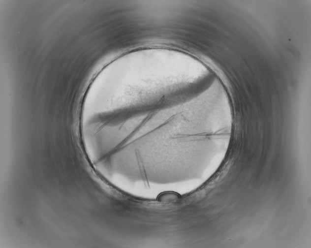 X0000111361437200908211246