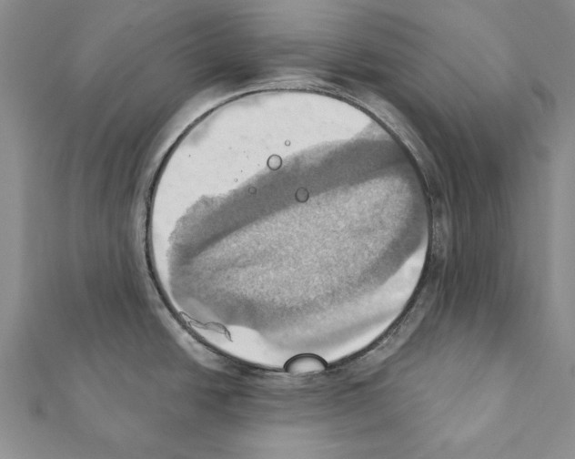 X0000111361438200908211246