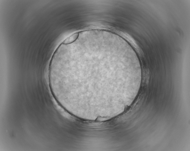 X0000111361439200908211246