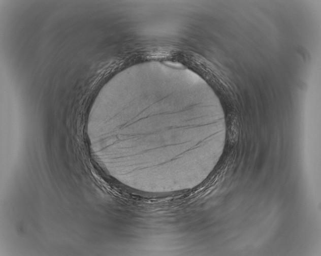 X0000111361441200908211246