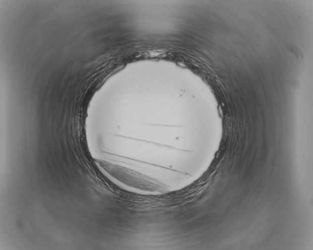 X0000111361442200908211246