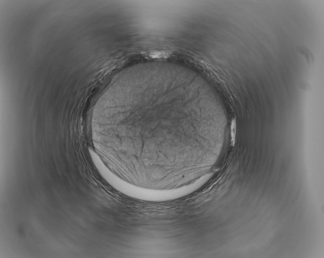 X0000111361443200908211246