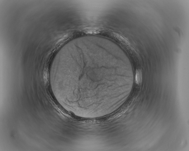 X0000111361444200908211246