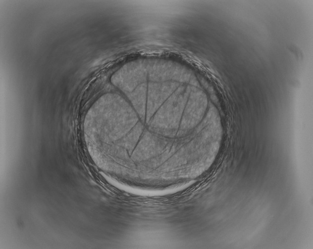 X0000111361445200908211246