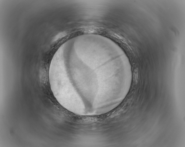 X0000111361446200908211246